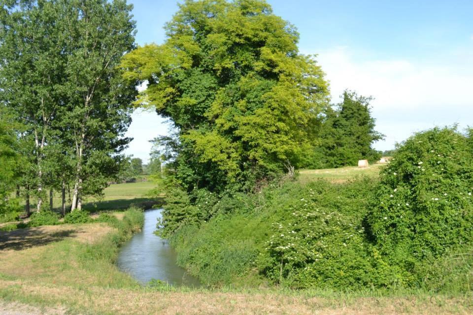 Agriturismo Il Campagnino Cremona Zewnętrze zdjęcie
