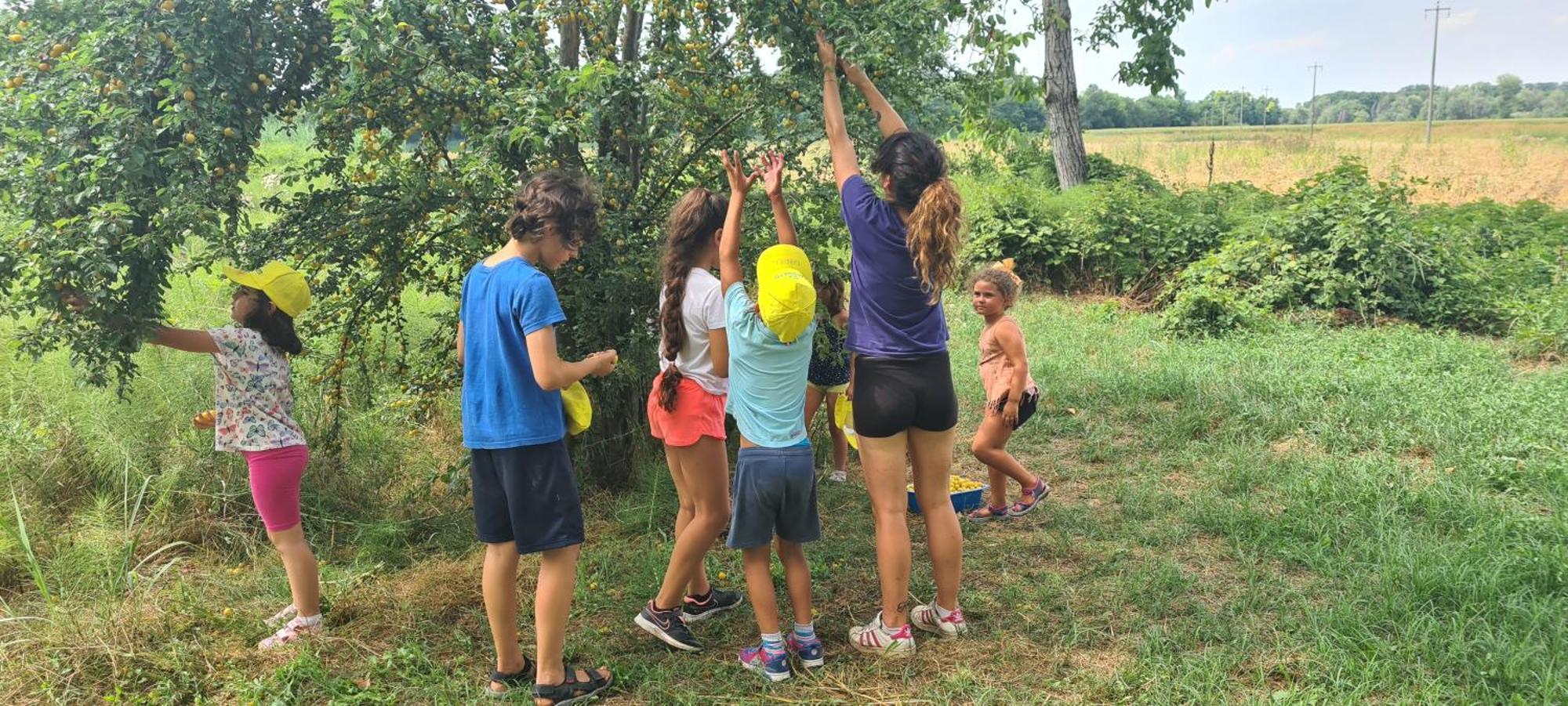 Agriturismo Il Campagnino Cremona Zewnętrze zdjęcie