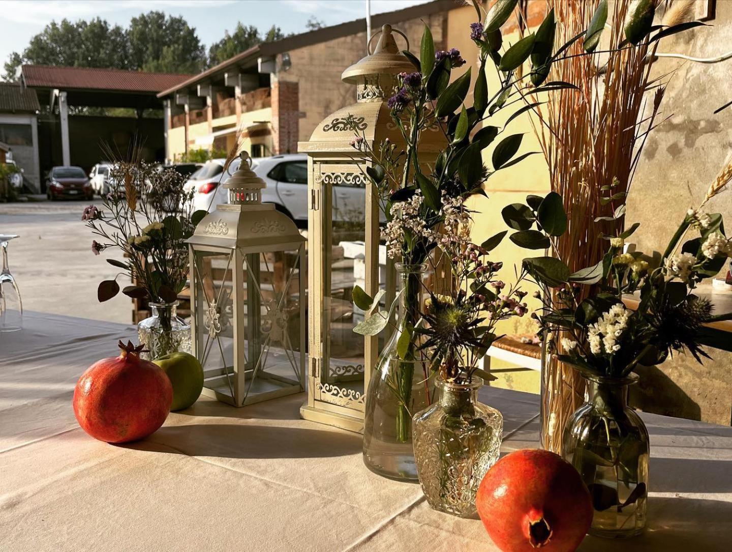 Agriturismo Il Campagnino Cremona Zewnętrze zdjęcie