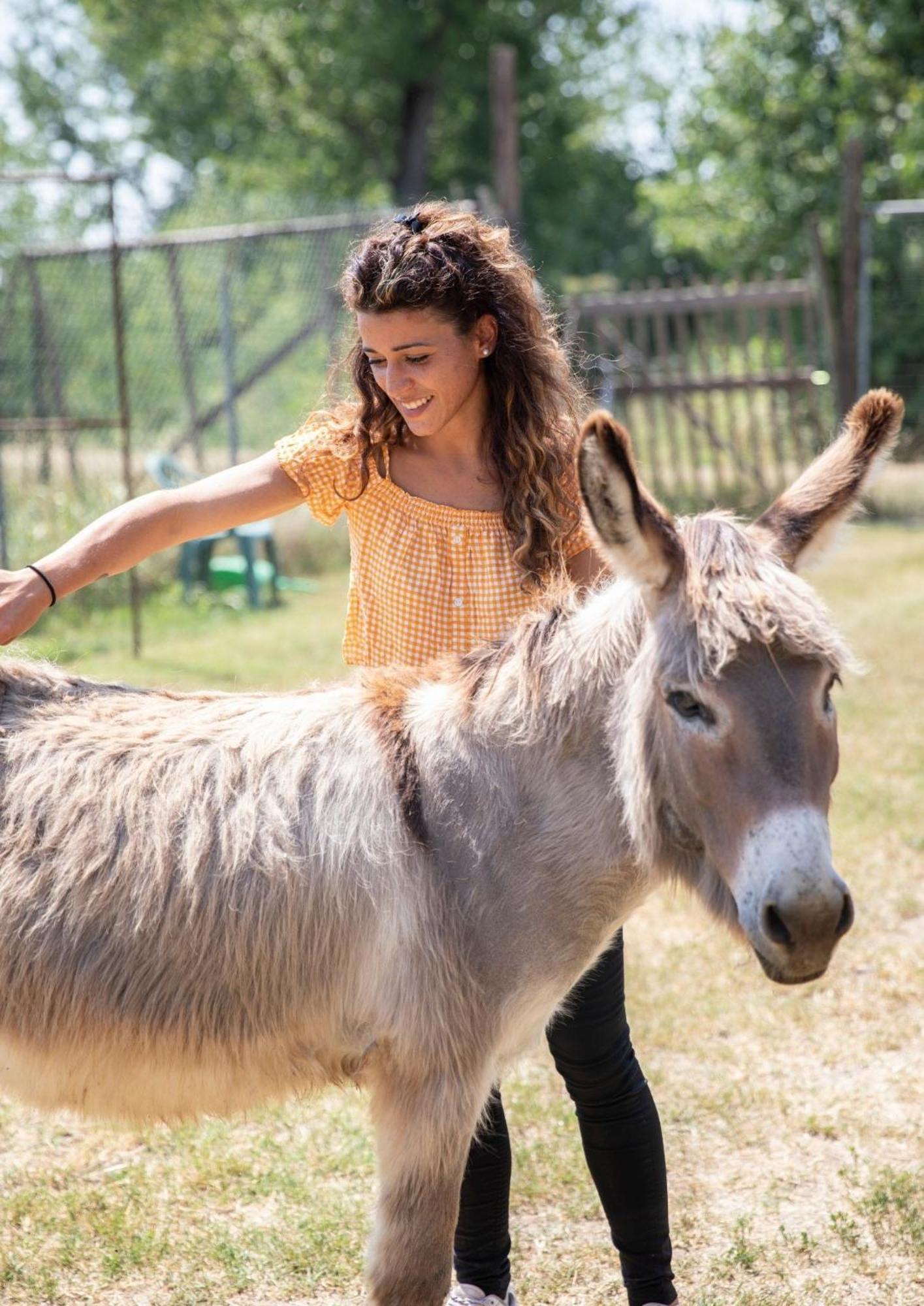 Agriturismo Il Campagnino Cremona Zewnętrze zdjęcie
